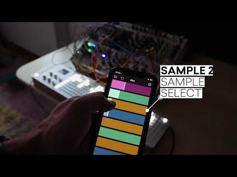 Polyend Poly module with RIBN application
