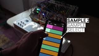 Video thumbnail for Polyend Poly module with RIBN application by Polyend