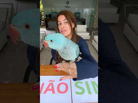 O QUE O RING NECK ESCOLHER, EU VOU GANHAR !! #shorts