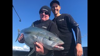 Elite Athlete Vs big Kingfish.