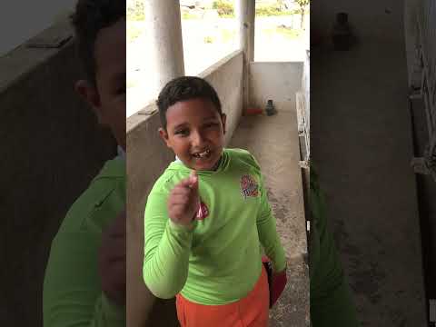 Leitegada de tricross a pronta entrega na granja JP em Iraucuba Ce a máquina da suinocultura