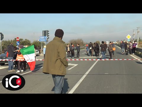 download lagu mp3 mp4 Crati, download lagu Crati gratis, unduh video klip Crati