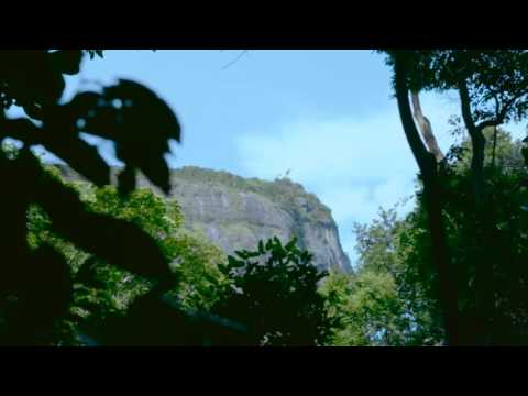 Tavi Castro super hero(GYM LOVER)