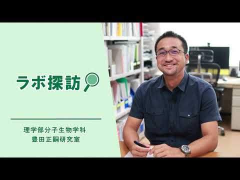 教養学科 【理学部】豊田研究室（細胞情報研究室）