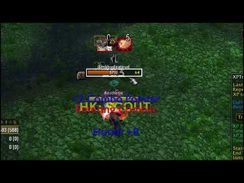 The stunlock of two Rogues