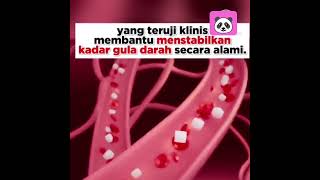 Download lagu Liliang Obat Gula Darah, #RacunShopee #SpillRacunShopee #SpillBawaBerkah #GratisOngkirRp0 #liliang mp3 Download lagu Liliang Obat Gula Darah, #RacunShopee #SpillRacunShopee #SpillBawaBerkah #GratisOngkirRp0 #liliang mp3