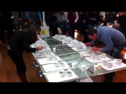 Italian Cup Tasters Championship