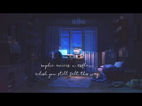 Sophie meiers x 90sFlav - wish you still felt this way