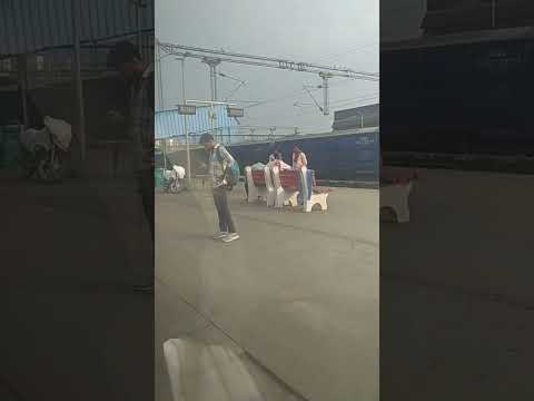 kuldepmank #raglan #train #pind #shortsyoutube