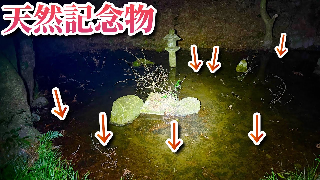 地獄のトラブルの後、待っていた感動の光景とは！