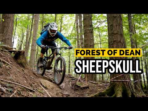 SHEEPSKULL DOWNHILL TRAIL AT THE FOREST OF DEAN