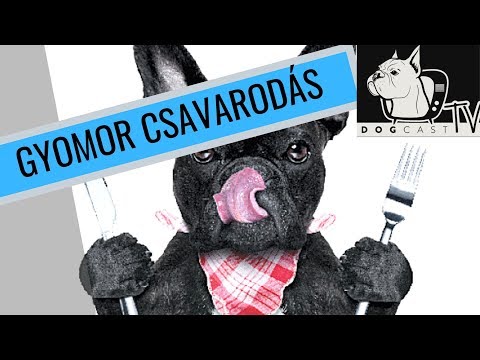 xynergy fogyás