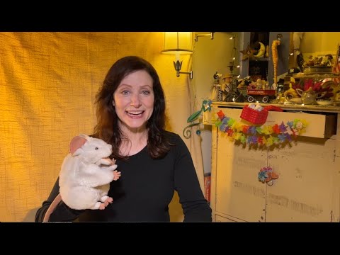 NOVEMBER 2023 - "NOODIN'S PERFECT DAY"  by Ansley Simpson;  LIVE-Read by Heidi & Millicent!🙋🏻‍♀️🐭!