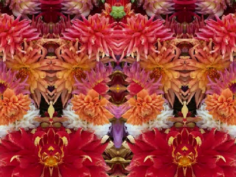 revelation blues (by the Bap Kennedy Trio live in Italy 2015)