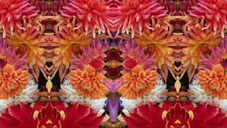 revelation blues (by the Bap Kennedy Trio) live!