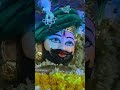 घर से लेकर रिंगस तक Ringus से लेकर खाटू तक