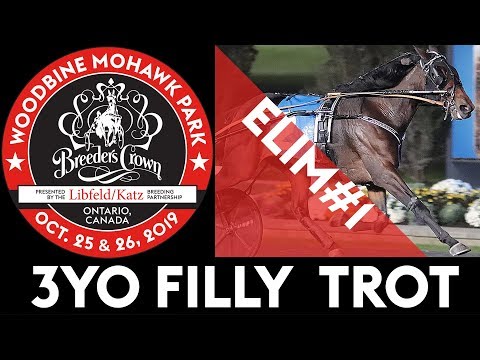 2019 Breeders Crown Elim#1 The Ice Dutchess 3YO Filly Trot