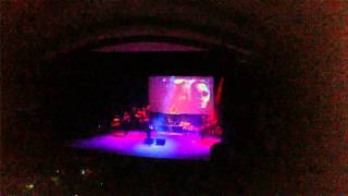 un gato en la ciudad-MIGUEL MATEOS