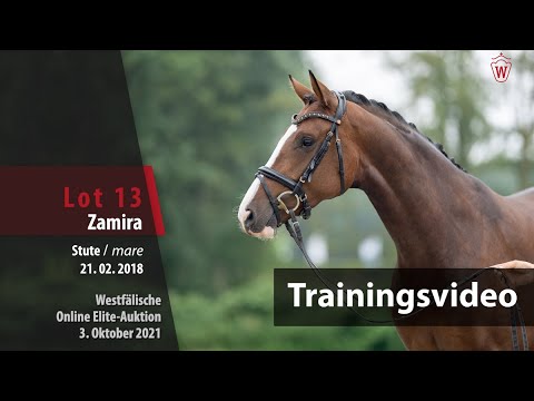 62. Elite-Auktion Training Lot 13 Zamira v. Zoom/First Selection
