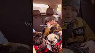 【モントリオール家族】 March Break 2026 Road Trip to Ottawa 🇨🇦🐶