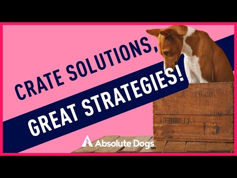 Crate Solutions, Great Strategies!