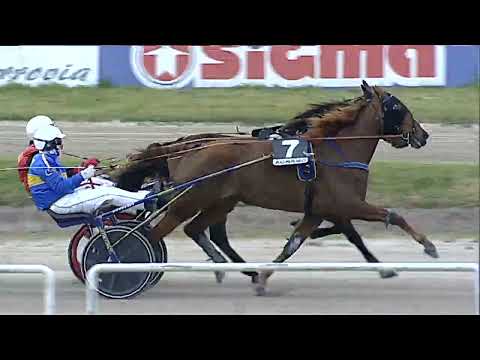 Napoli Trotto 29/04/2023 - 6ª corsa