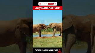 Best Wildlife Reserves In Burkina Faso #shorts