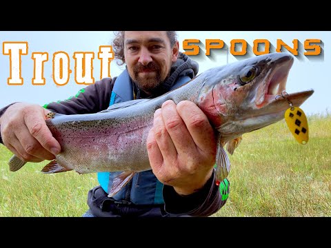 Late Fall Trout Fishing BEST Spoons To Fish Stocked Shallow Pond Trout