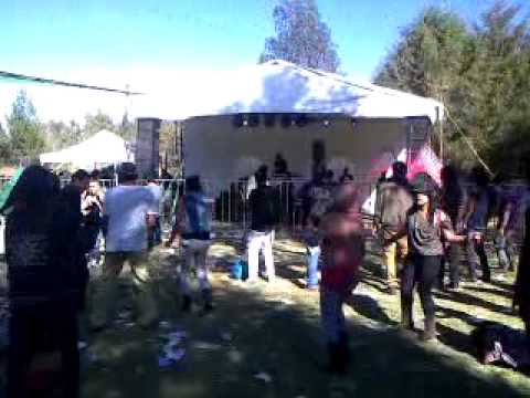 syntech @ dark files los invasores