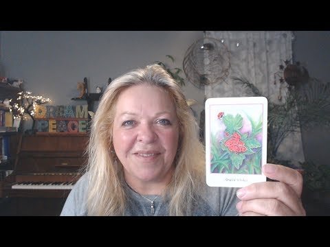 Your Daily Focus for September 11, 2019 - Tarot - Astrology - Numerology