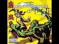 Wu Tang Clan N Y C Everything