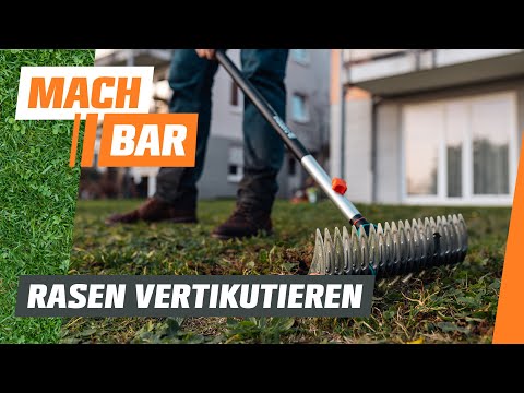 Scarifying the lawn with a hand scarifier | OBI