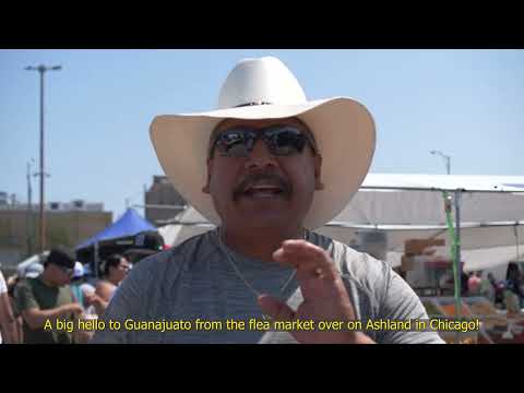 Trailer BARABARA (2025) Directed by Ashley Alonso