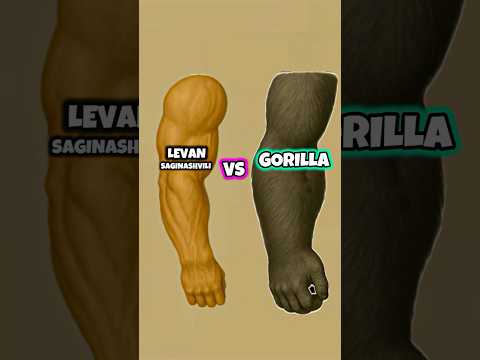 LEVAN VS GORILLA🦍