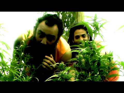 El Granjero (Leao Mango ft. Oskar-T