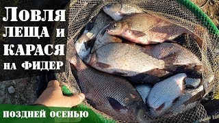 Ловля карася леща и карпа на фидер осенью