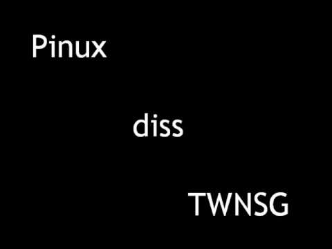 Pinux - Jebać was lamusy (diss TWNSG)