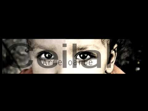 Ceilalti - Arme oarbe (Prod. Hannibal)