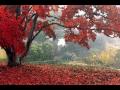 ronan hardiman - whispering wind