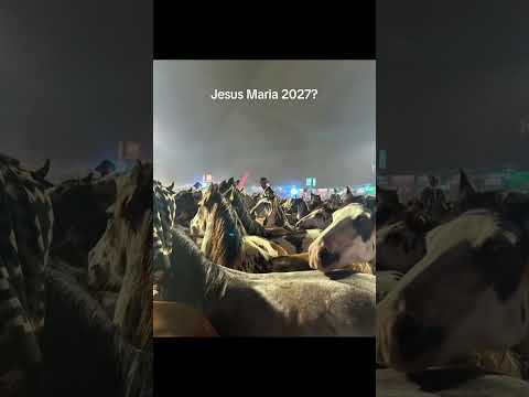 Festival Jesus María #cordoba #caballos