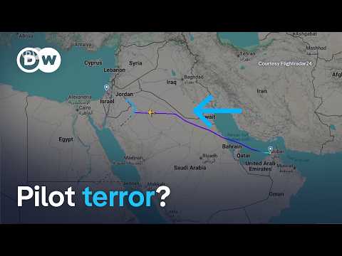 Brawl between pilots on Israel bound flight prompts hijack alert | DW News