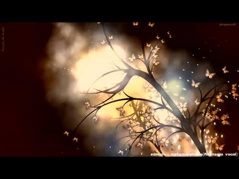 edmofo - metamorphosis(Asenssia vocal)