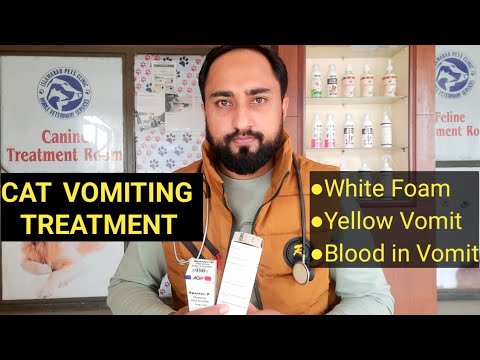 Cat Vomiting Treatment #catvomiting