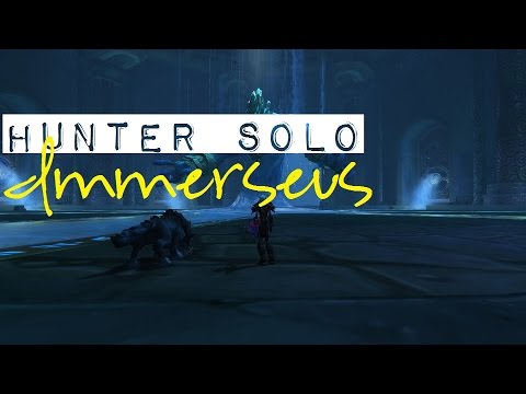 Hunter Solo: Vittoriya vs Immerseus 10N