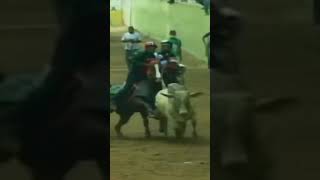Download lagu El Súper Man del coleo Venezolano Omar Gamarra mp3