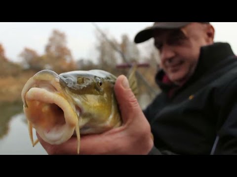 RIBOLOV MRENA METHOD FEEDEROM - Ninoslav Žagar