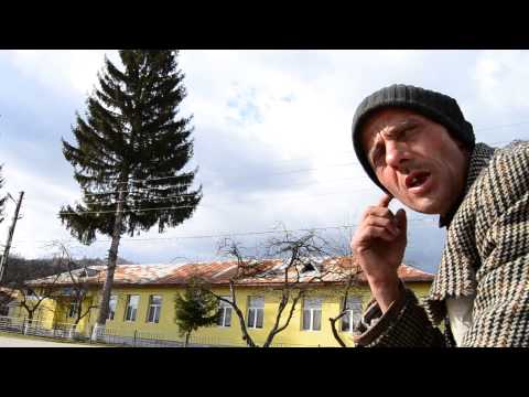 Patania lui Vasile ( Valea Lunga, Dambovita)