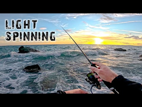 Many different species LIGHT FISHING on the rocks - CATCH AND COOK