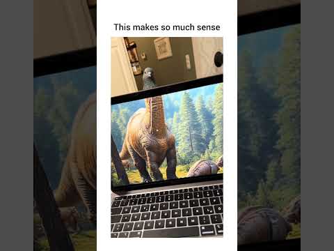YouTube video