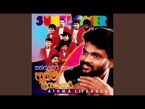 Rea Ahase (SUNFLOWER)